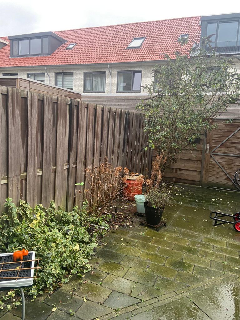 Voor: zoals de tuin eruit zag voor de metamorfose
