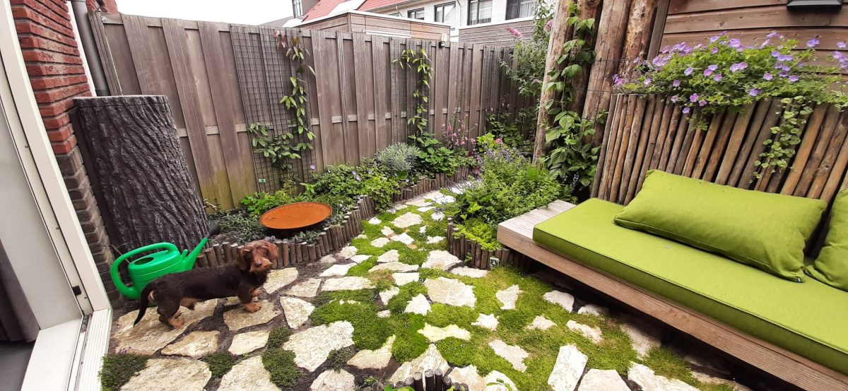 Na: de tuin na aanleg