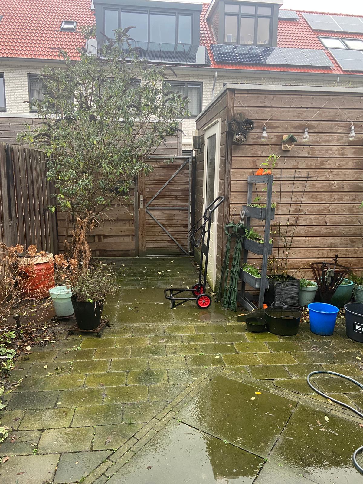 Voor: zoals de tuin eruit zag voor de metamorfose