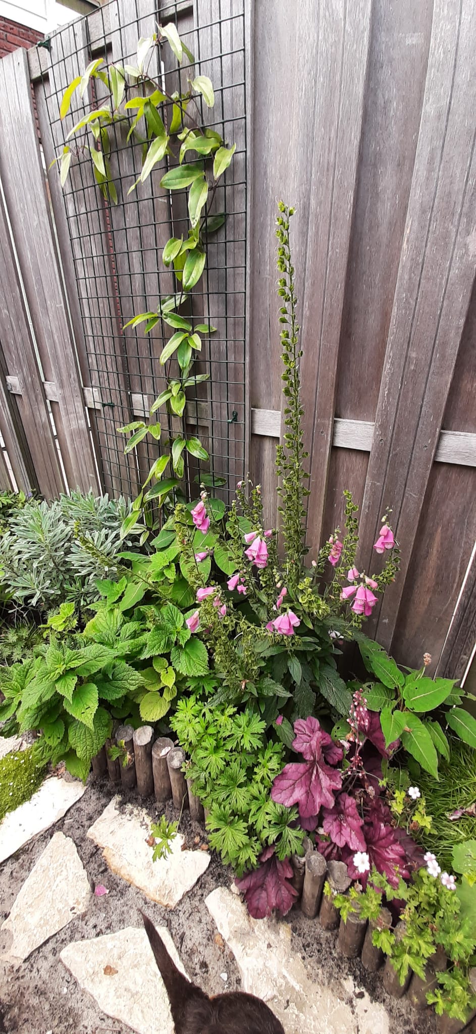 Na: de tuin na aanleg