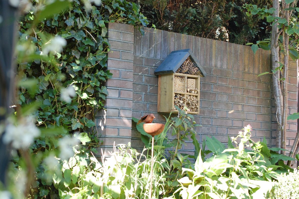 Bijen- en insectenhotel, close-up
