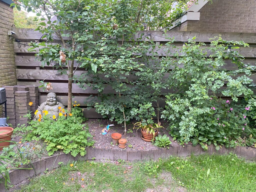 Voor: de oude tuin