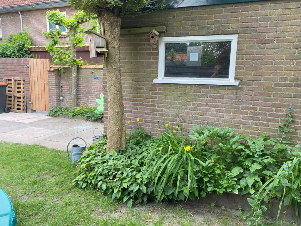 Voor: de oude tuin