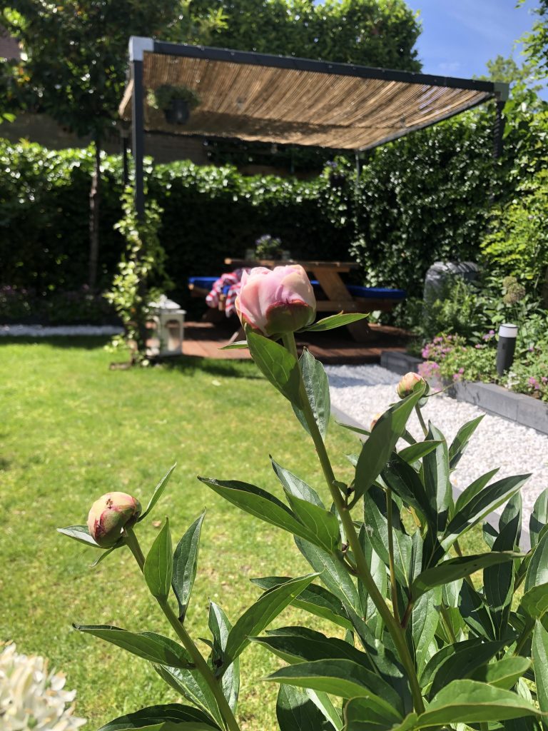 Terras van vlonderplanken met pergola