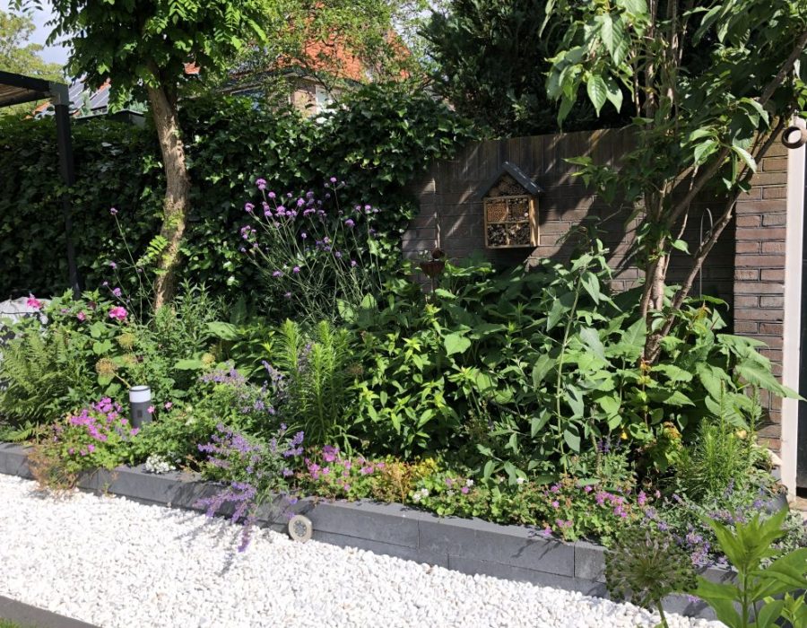 Regenwater opvangen in je tuin